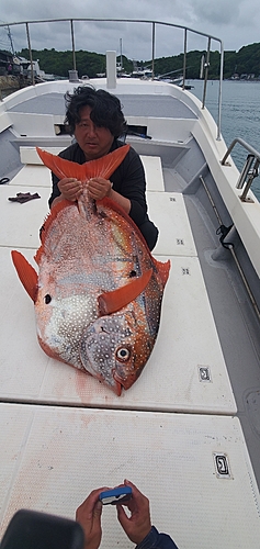 ビンチョウマグロの釣果