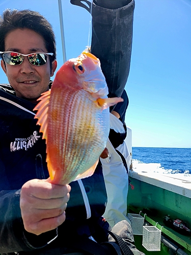 レンコダイの釣果