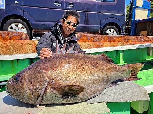 イシナギの釣果