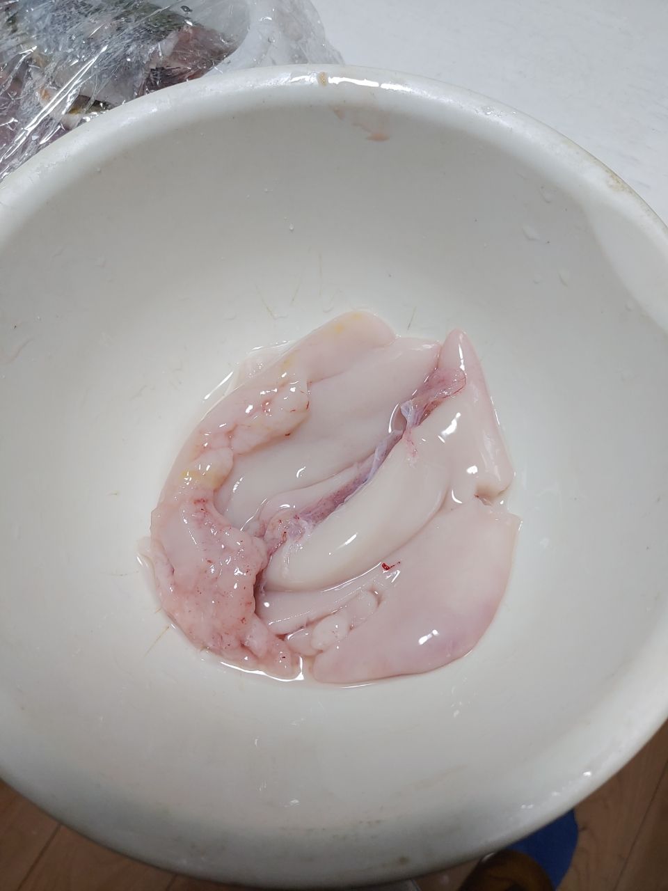 陸っぱり同好会　副会長さんの釣果 2枚目の画像