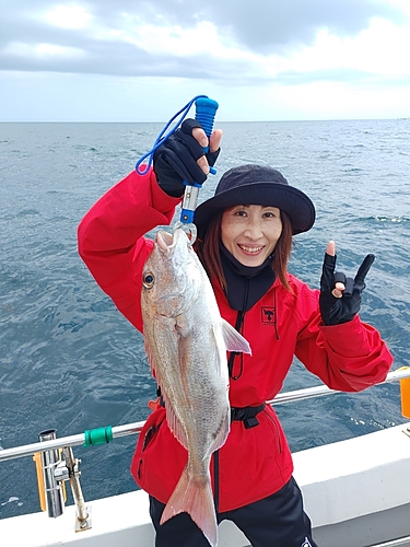 マダイの釣果