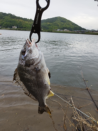 釣果