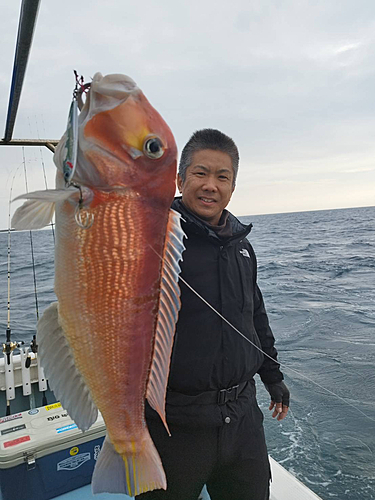 アカアマダイの釣果