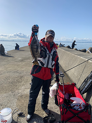 チヌの釣果