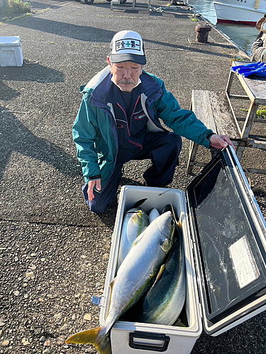 ブリの釣果