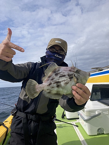 カワハギの釣果