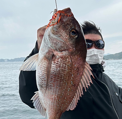 タイの釣果