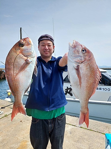 マダイの釣果