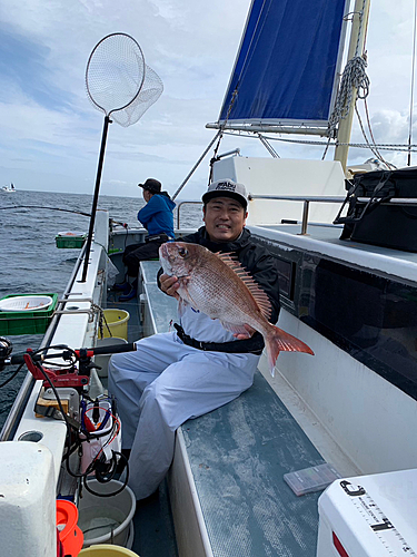 マダイの釣果