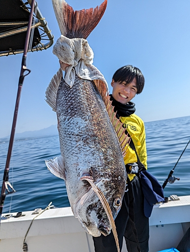 タイの釣果