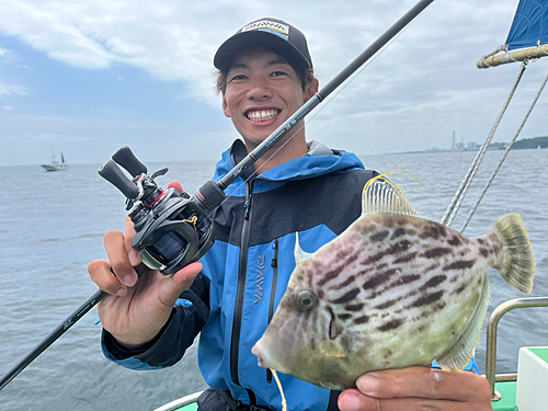 カワハギの釣果