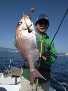 マダイの釣果