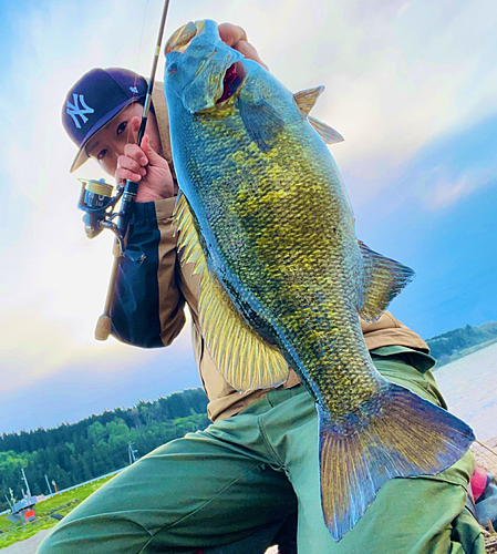 スモールマウスバスの釣果