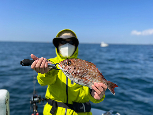 マアジの釣果