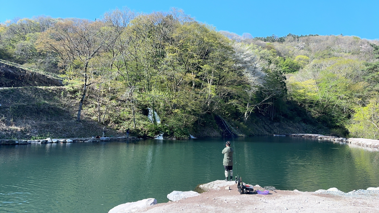 イワナ