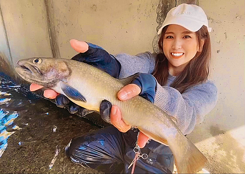 ニッコウイワナの釣果