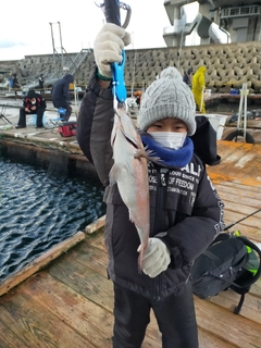 タイの釣果