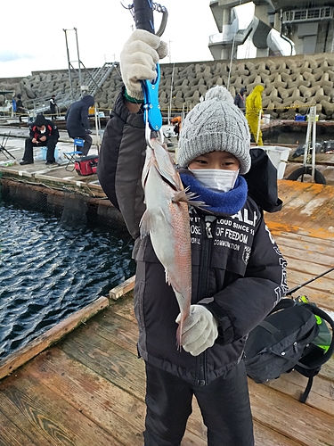 タイの釣果