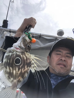 マトウダイの釣果