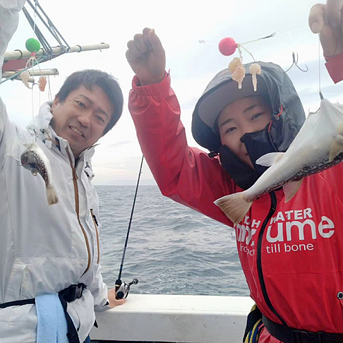 ショウサイフグの釣果