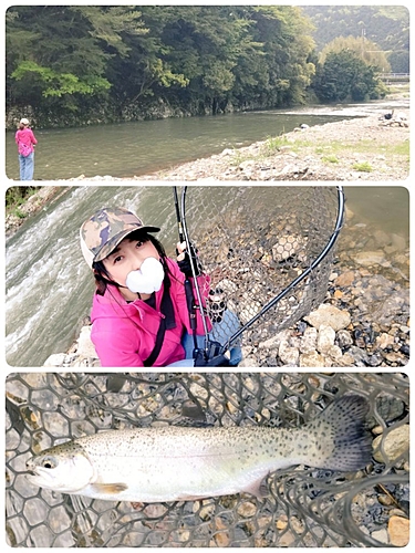 ニジマスの釣果