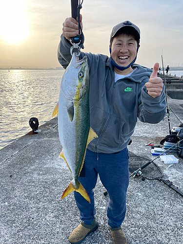 メジロの釣果