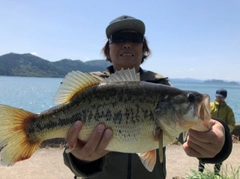 ブラックバスの釣果