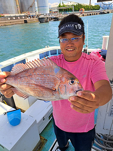 マダイの釣果