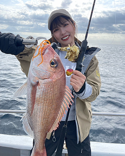 マダイの釣果