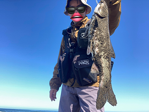 エゾウグイの釣果