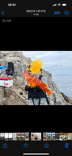 アカハタの釣果