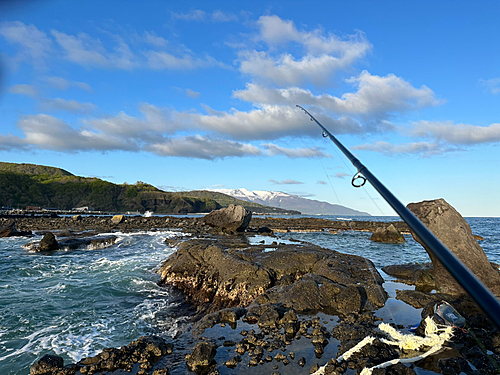 ウミアメの釣果