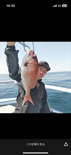 マダイの釣果