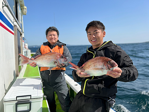 マダイの釣果