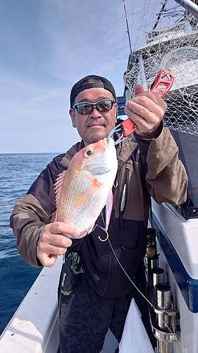 レンコダイの釣果