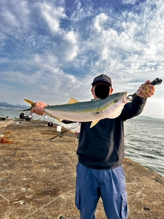 メジロの釣果