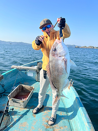 タイの釣果