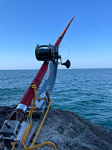 アナゴの釣果