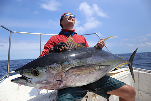 キハダマグロの釣果