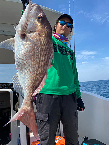 マダイの釣果