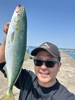 イナダの釣果