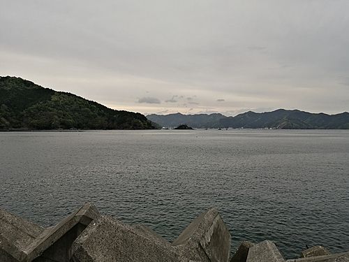 アイナメの釣果