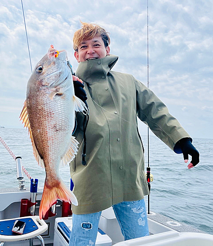 マダイの釣果