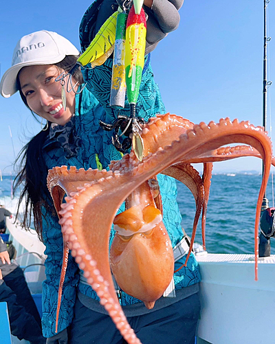 タコの釣果