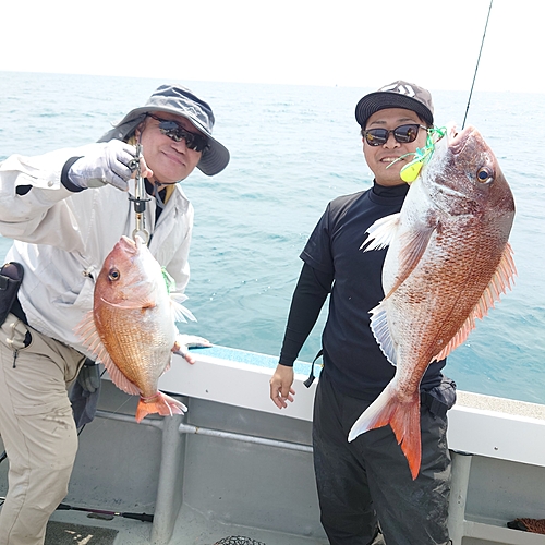 マダイの釣果