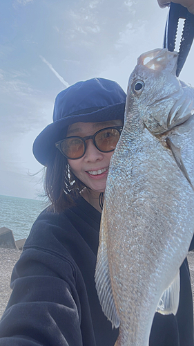 イシモチの釣果