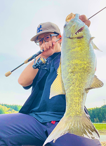 スモールマウスバスの釣果