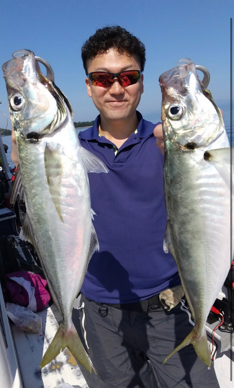 DAIWA 16アナリスター 真鯛 255の最安値・インプレ・釣果 | 本音