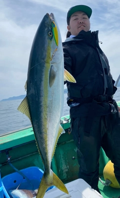 ワラサの釣果