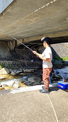 ニジマスの釣果